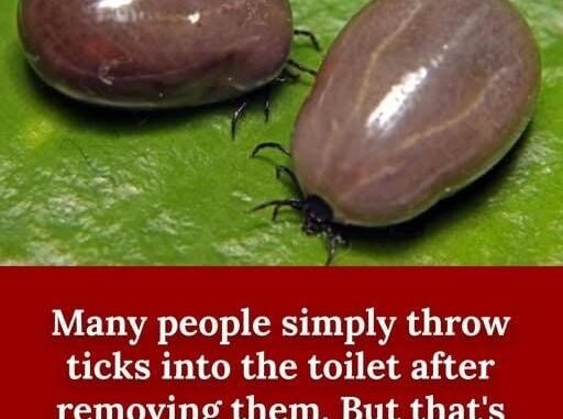 And if you crush them you might have more problems afterwards than before 🤮 Full story