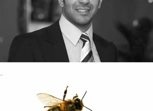 BILLIONAIRE WITH ASSETS OF MORE THAN 31 TRILLION VND DIED FROM BEING... STINGED BY A BEE 🐝
