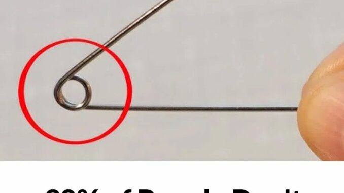 515104289_1286358233058770_3224010861540259862_n
