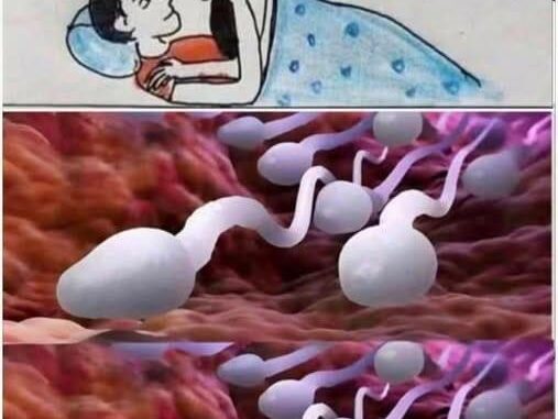 Many know! ❤️❤️ Studies reveal that swallowing your partner’s semen… See more