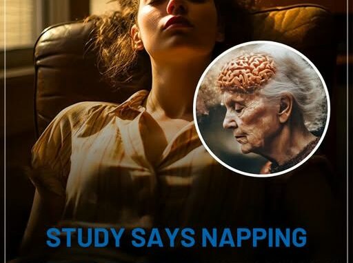 Study Says Napping During The Day Seriously Affects Brain Aging. FIND OUT MORE IN THE COMMENTS ⬇️